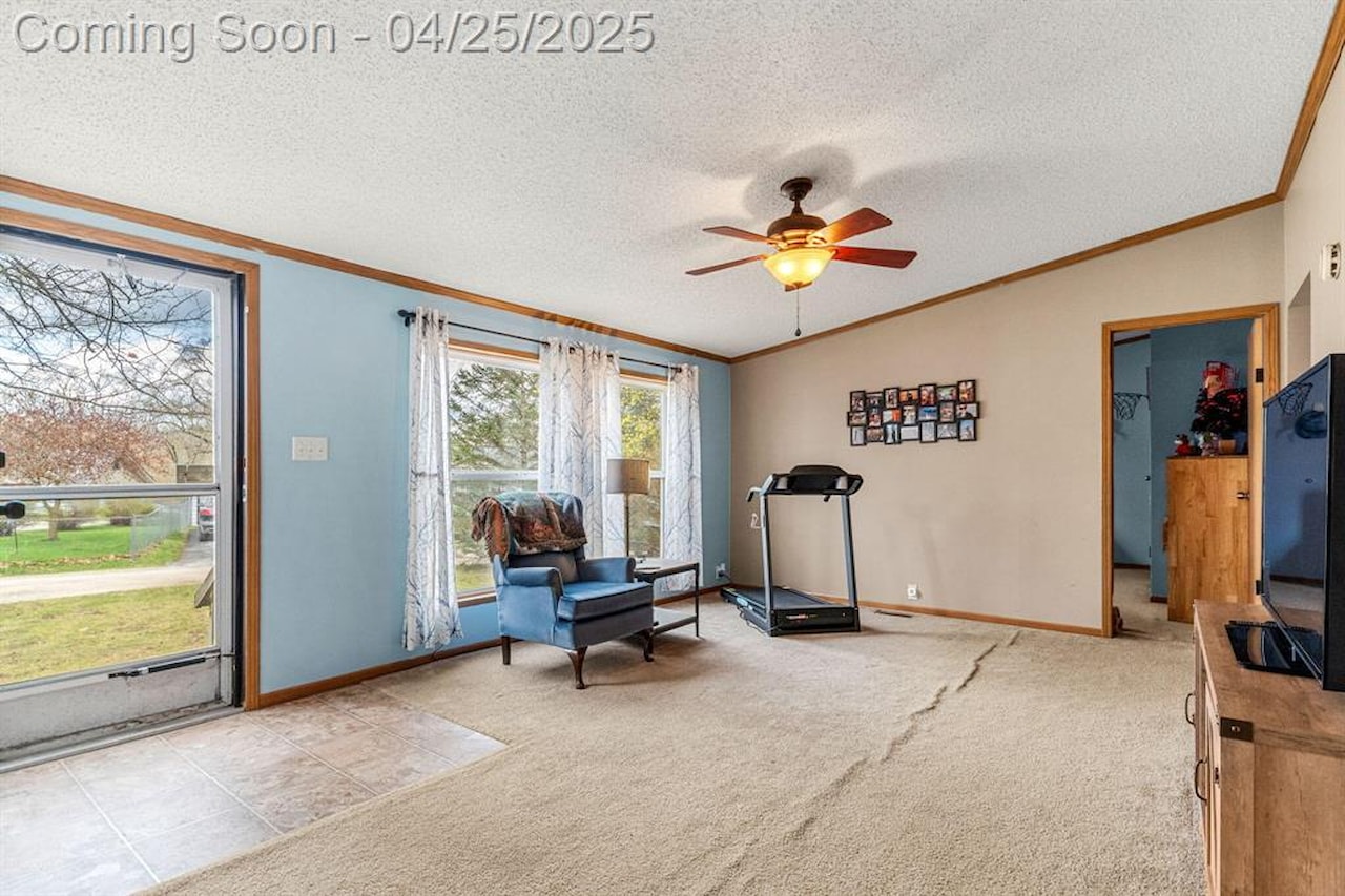 6545 Hiller Ave in Hamburg Twp, MI Photo 2