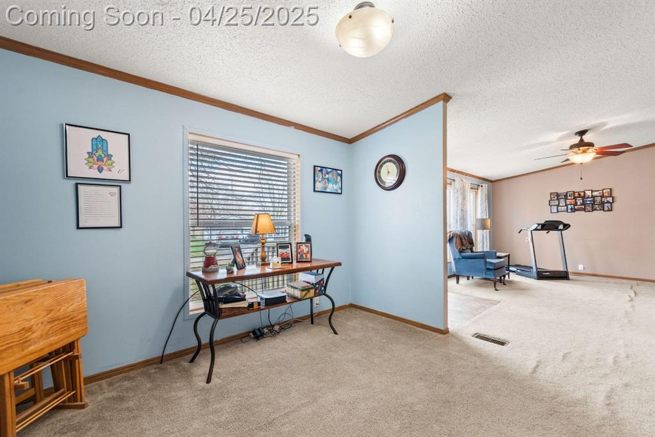 6545 Hiller Ave in Hamburg Twp, MI Photo 6