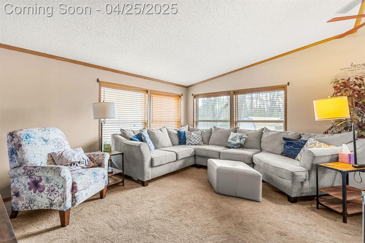 6545 Hiller Ave in Hamburg Twp, MI Photo 12