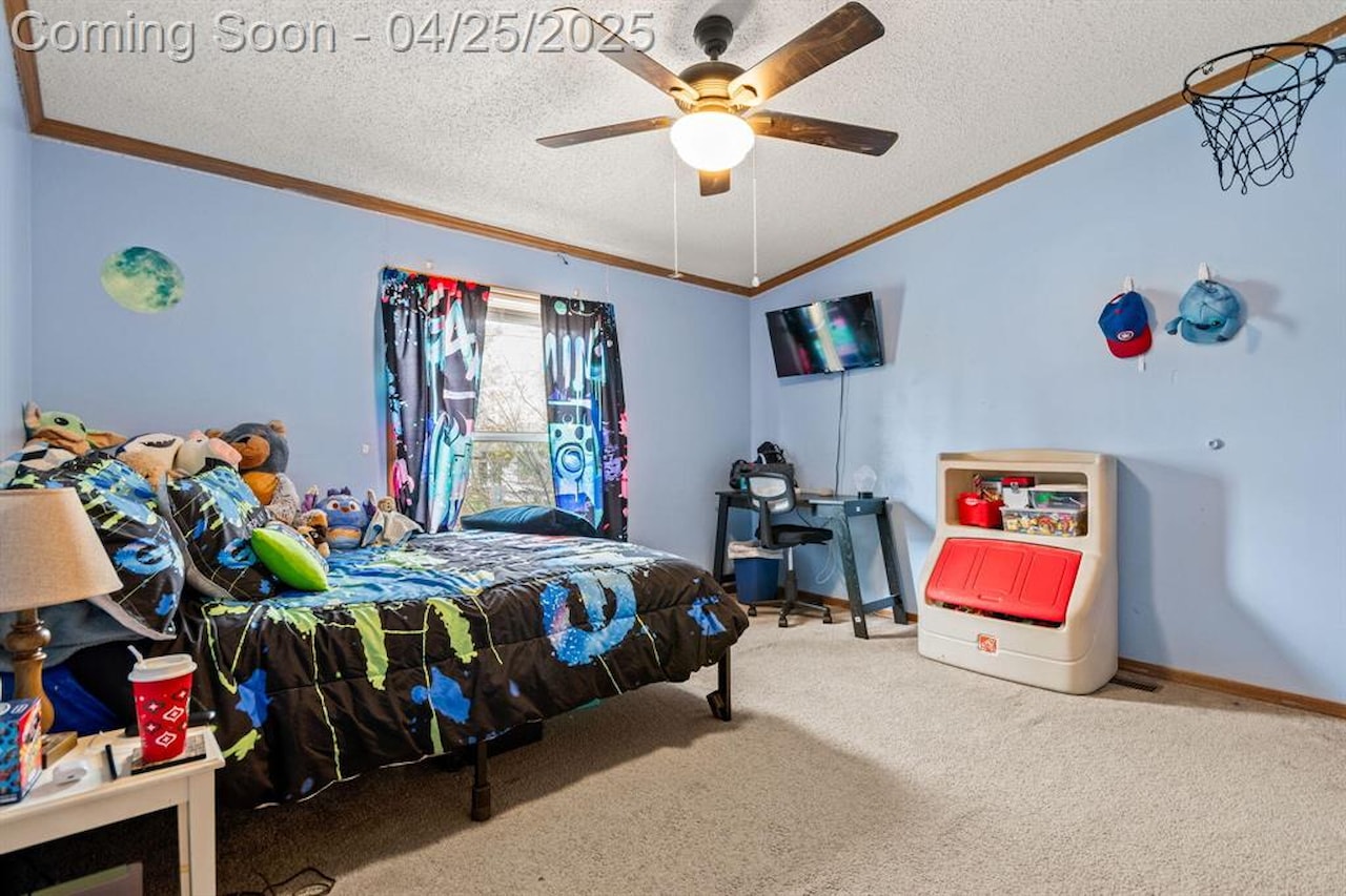 6545 Hiller Ave in Hamburg Twp, MI Photo 13