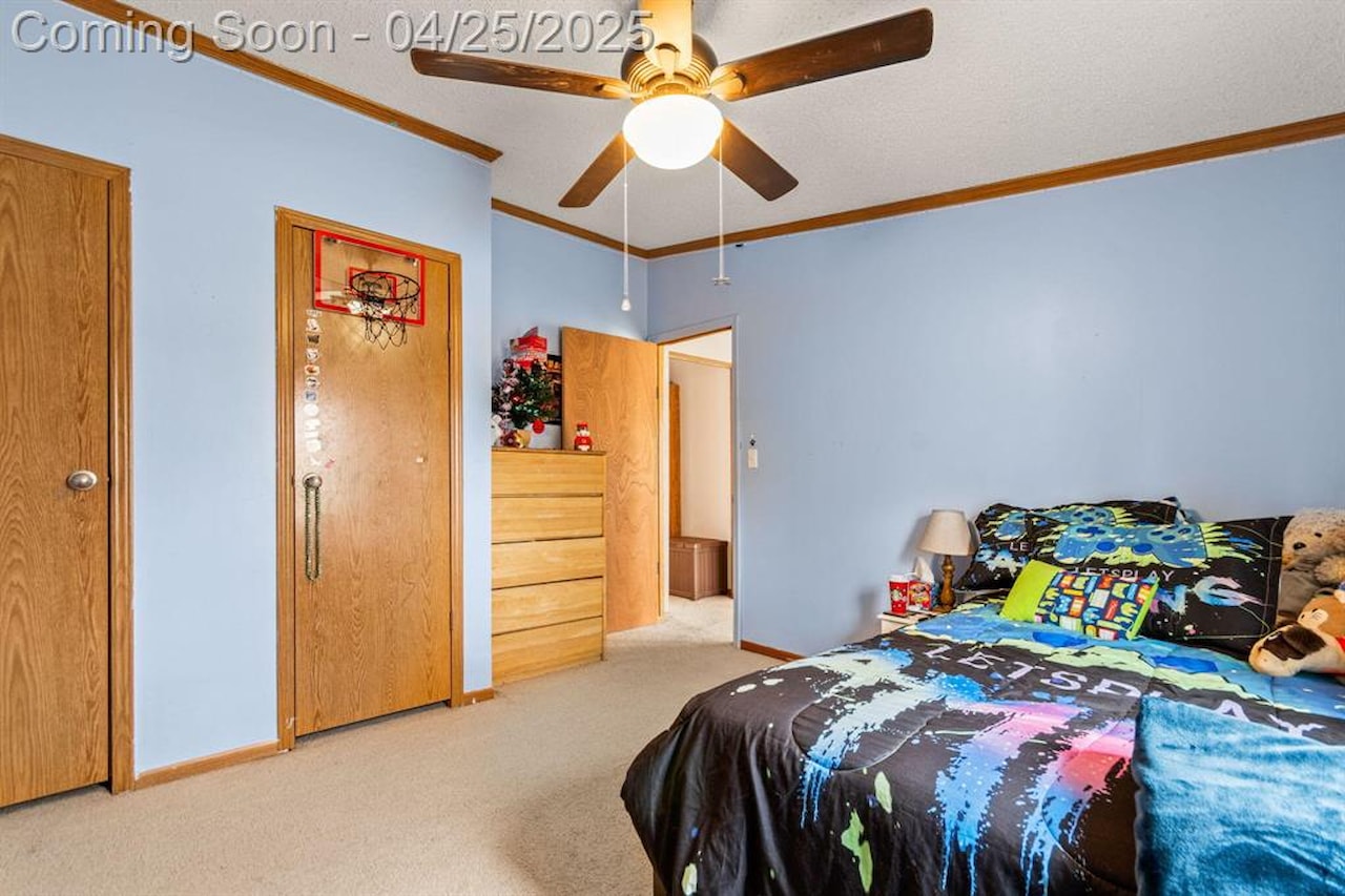 6545 Hiller Ave in Hamburg Twp, MI Photo 14
