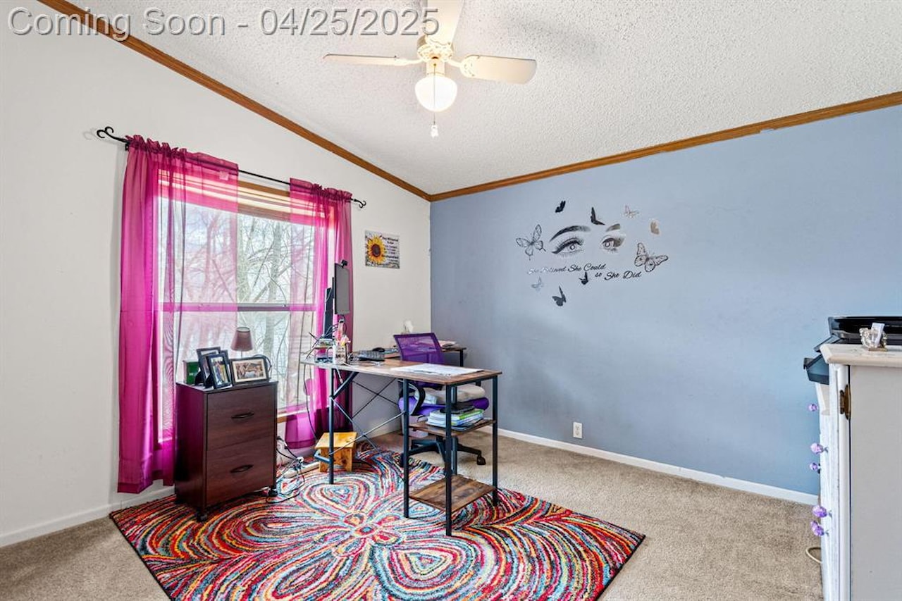 6545 Hiller Ave in Hamburg Twp, MI Photo 15