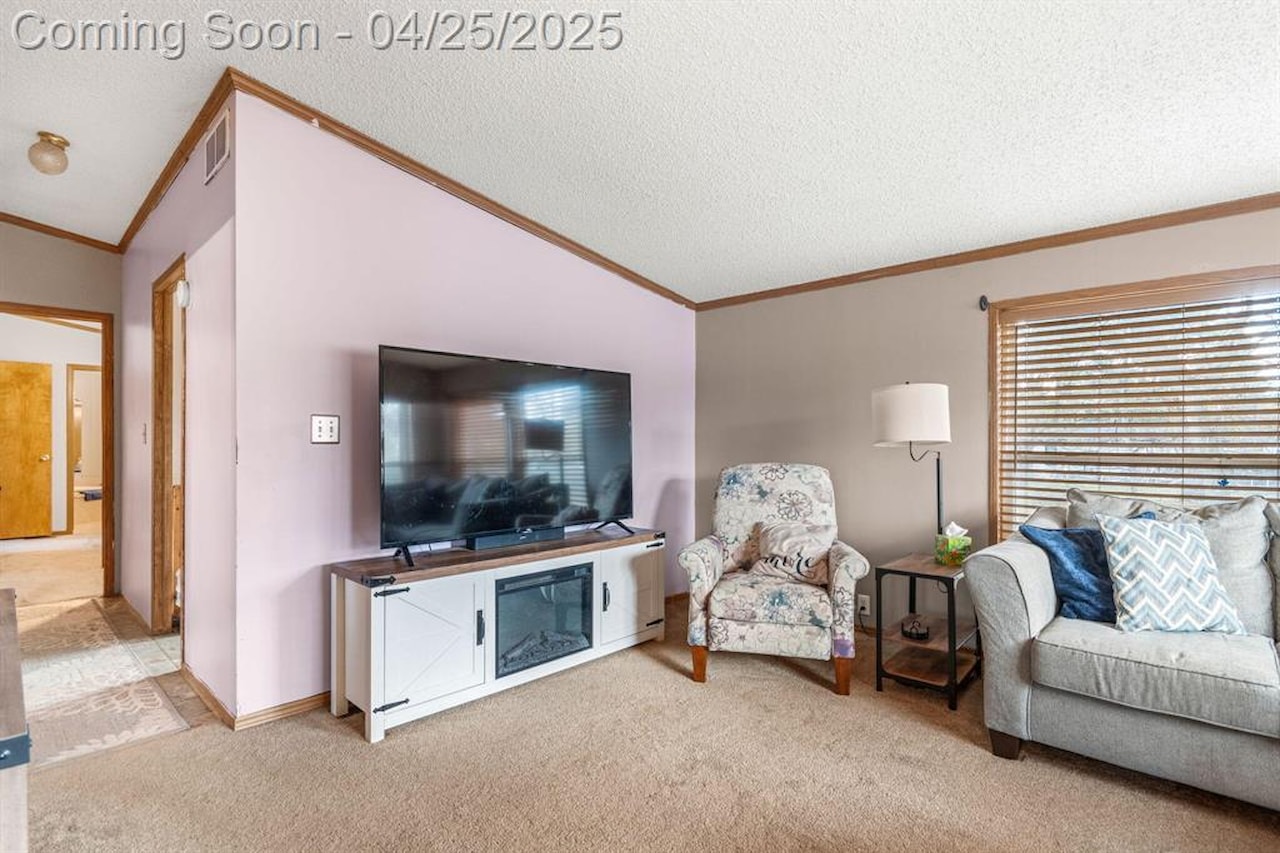 6545 Hiller Ave in Hamburg Twp, MI Photo 22