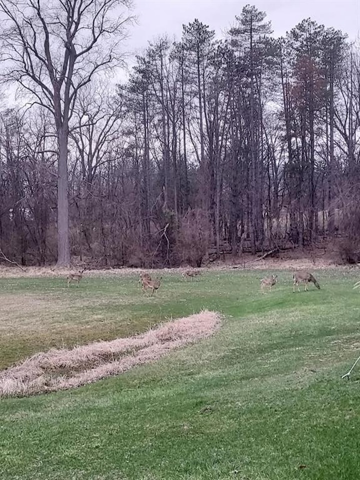 610 S Macomb St in Manchester Vlg, MI Photo 25