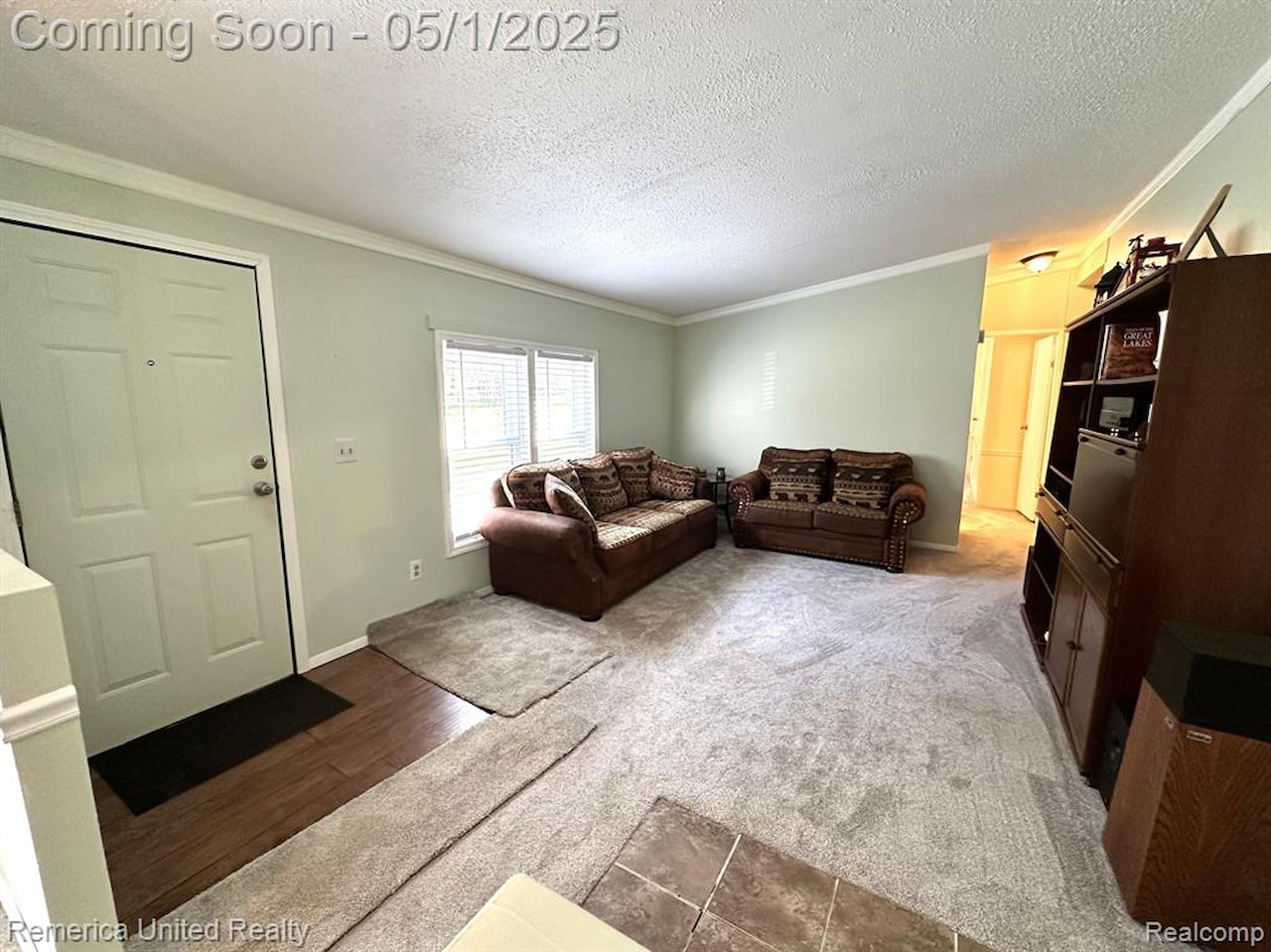 6565 W Coon Lake Rd in Iosco Twp, MI Photo 17