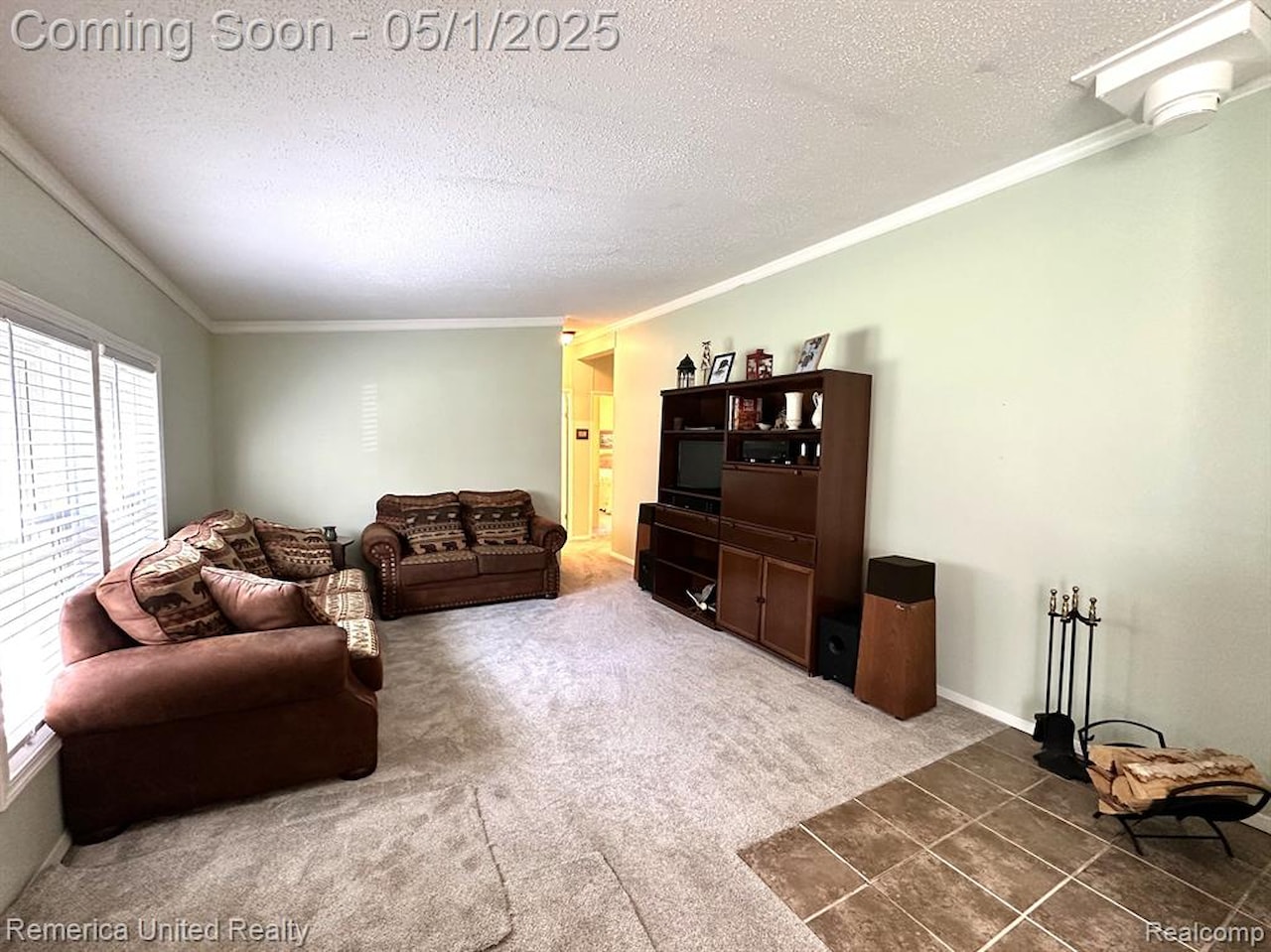 6565 W Coon Lake Rd in Iosco Twp, MI Photo 18