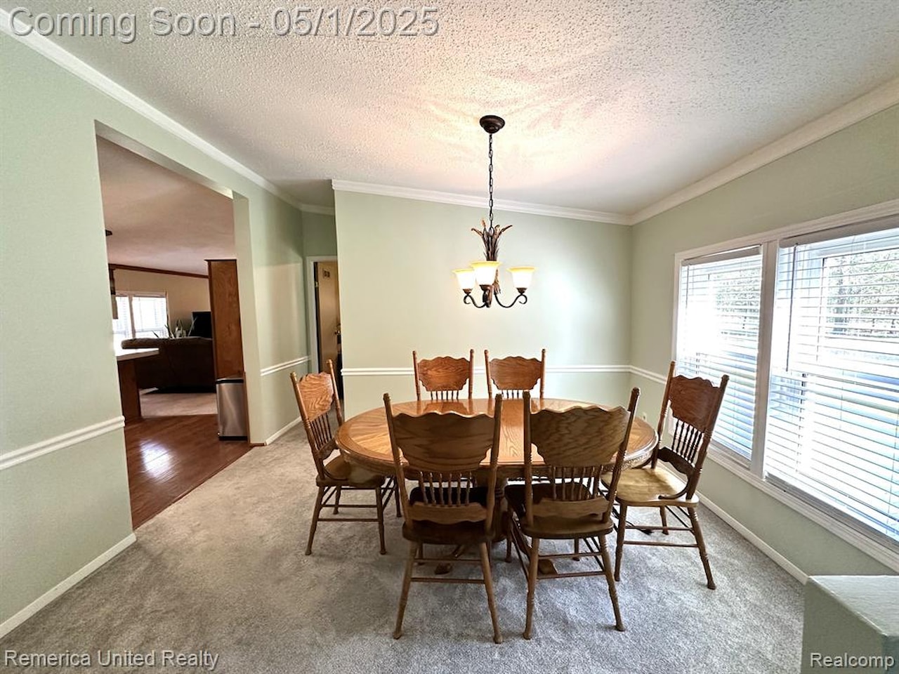 6565 W Coon Lake Rd in Iosco Twp, MI Photo 19