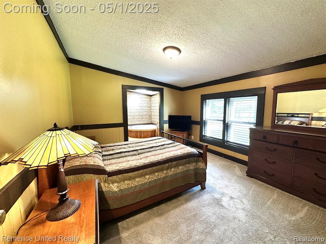 6565 W Coon Lake Rd in Iosco Twp, MI Photo 27