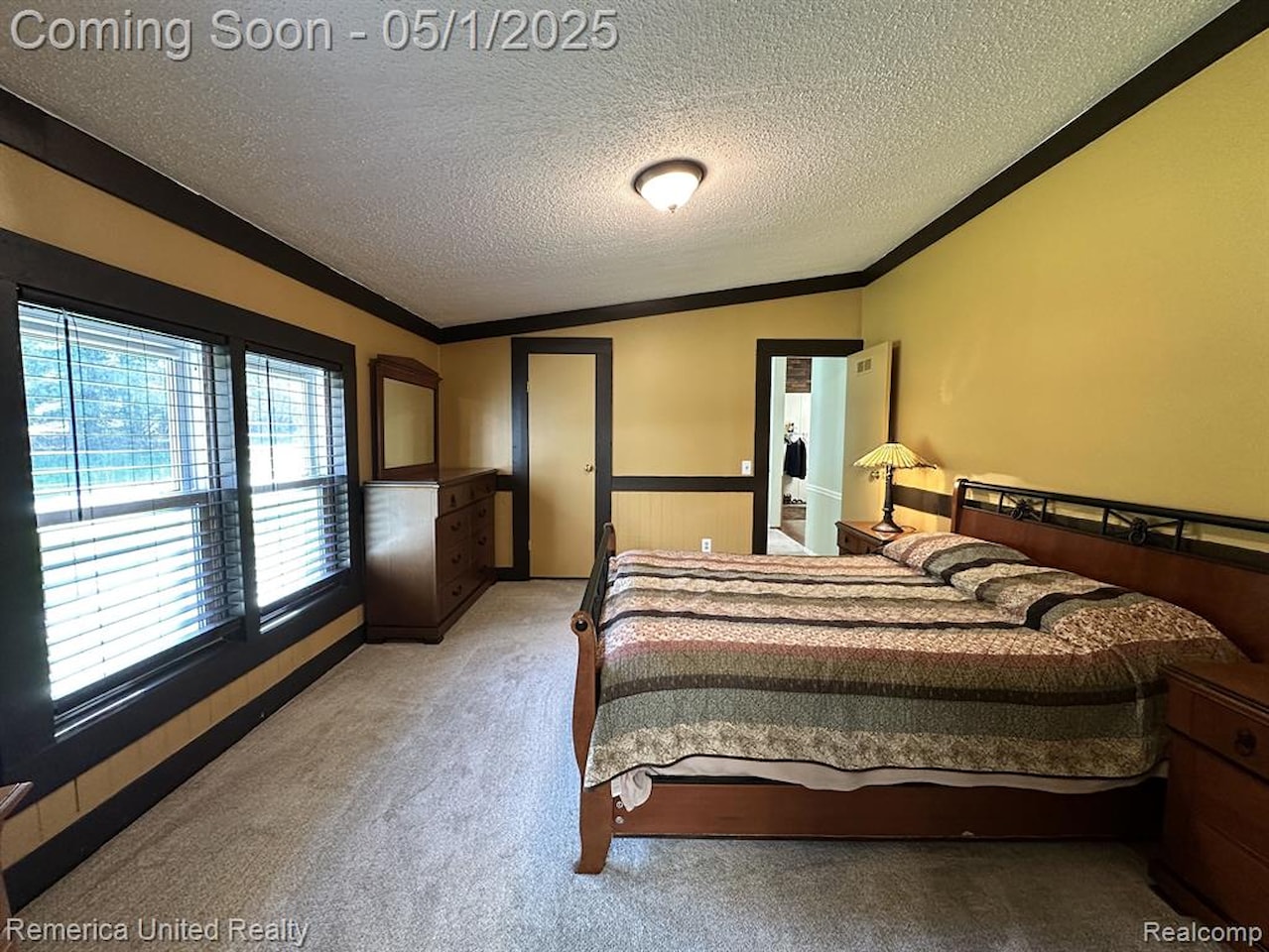 6565 W Coon Lake Rd in Iosco Twp, MI Photo 28