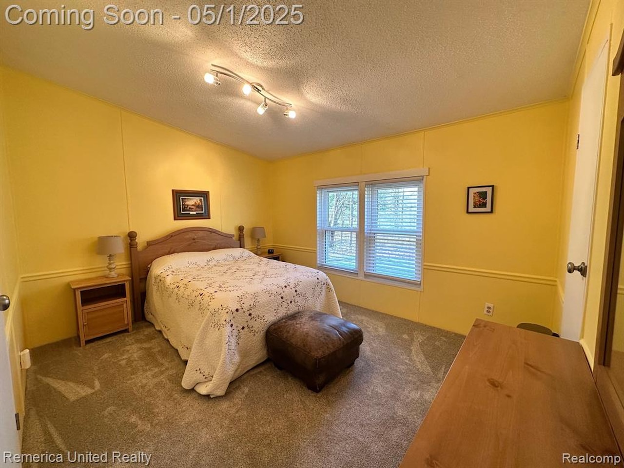 6565 W Coon Lake Rd in Iosco Twp, MI Photo 35
