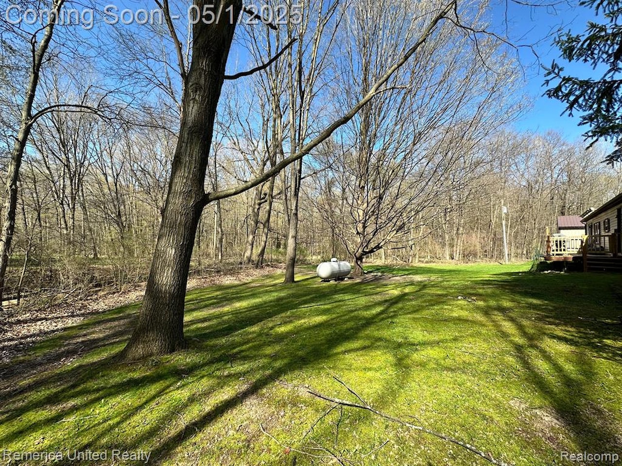 6565 W Coon Lake Rd in Iosco Twp, MI Photo 9