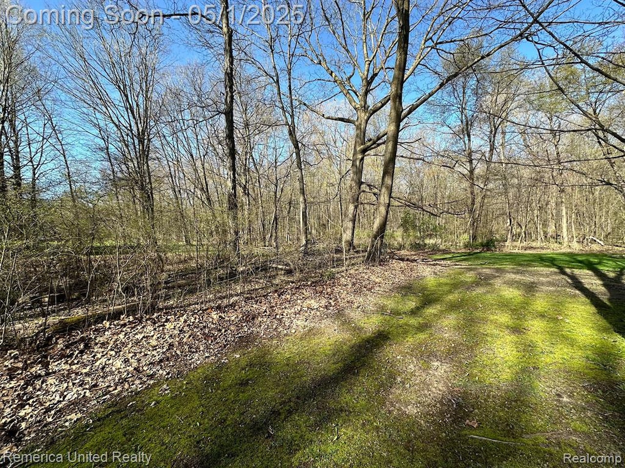 6565 W Coon Lake Rd in Iosco Twp, MI Photo 10