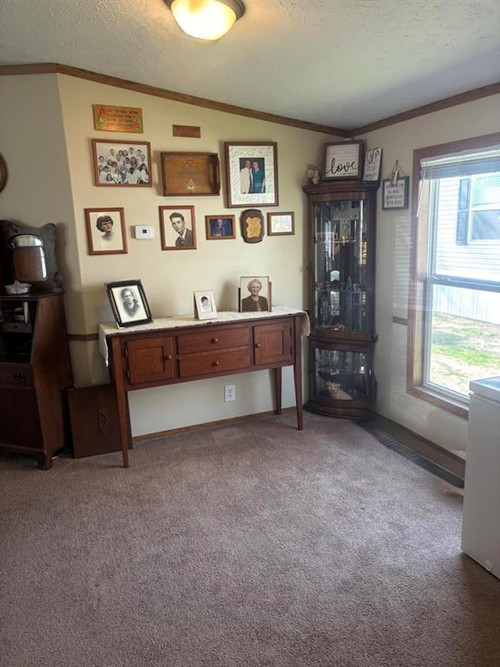 6704 Mill Stream Ln in Lansing, MI Photo 8