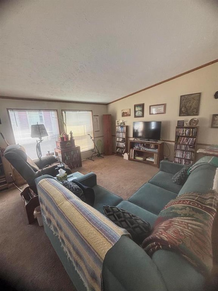 6704 Mill Stream Ln in Lansing, MI Photo 9