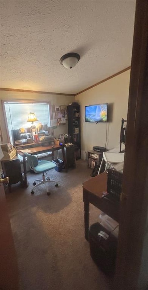 6704 Mill Stream Ln in Lansing, MI Photo 15