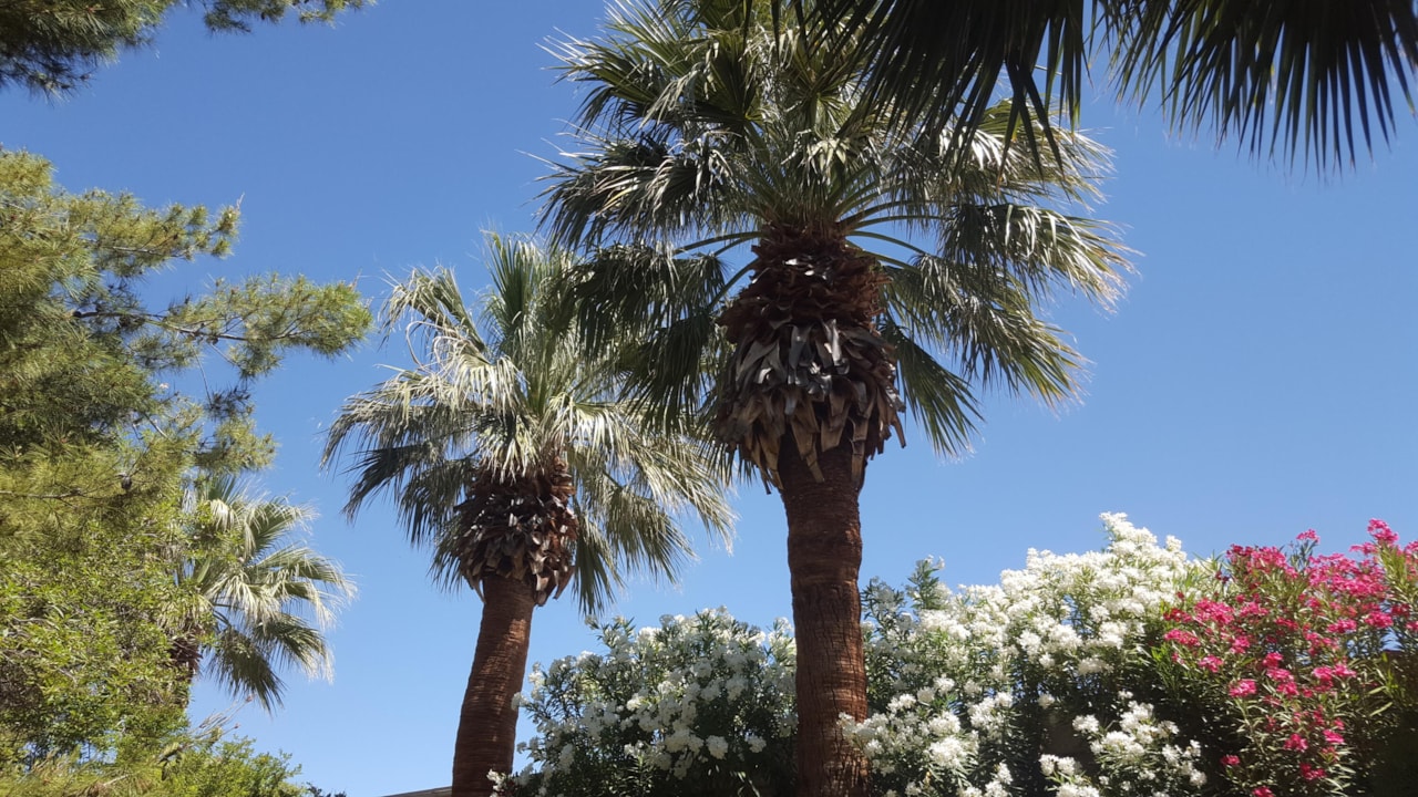 860 S Village RD #Z-10 St George, UT 84770 condo for sale, MLS#25-257876 - Erika Rogers Photo 3