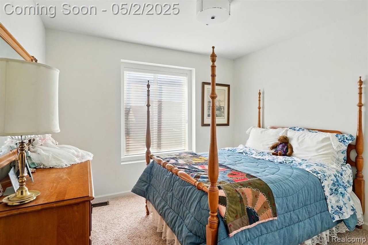 29762 Magnolia Dr in Lyon Twp, MI Photo 16