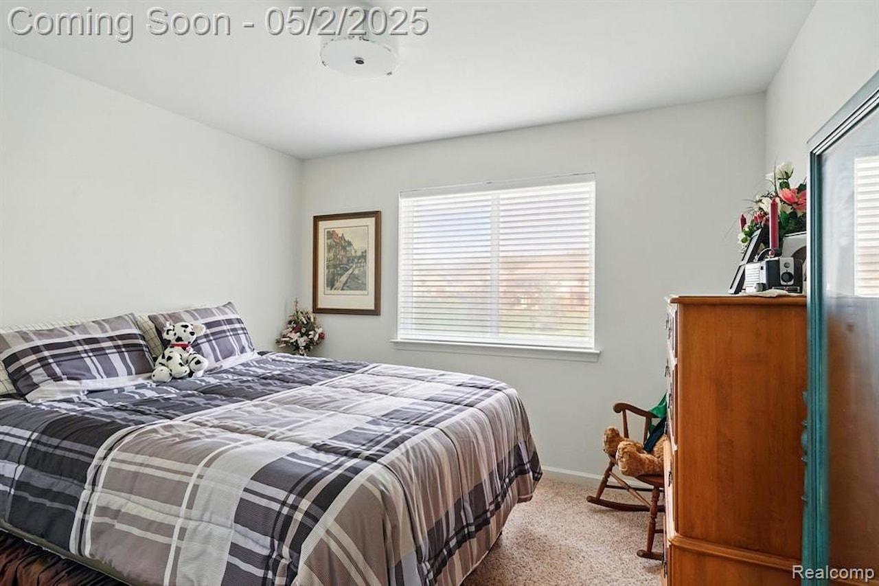 29762 Magnolia Dr in Lyon Twp, MI Photo 18