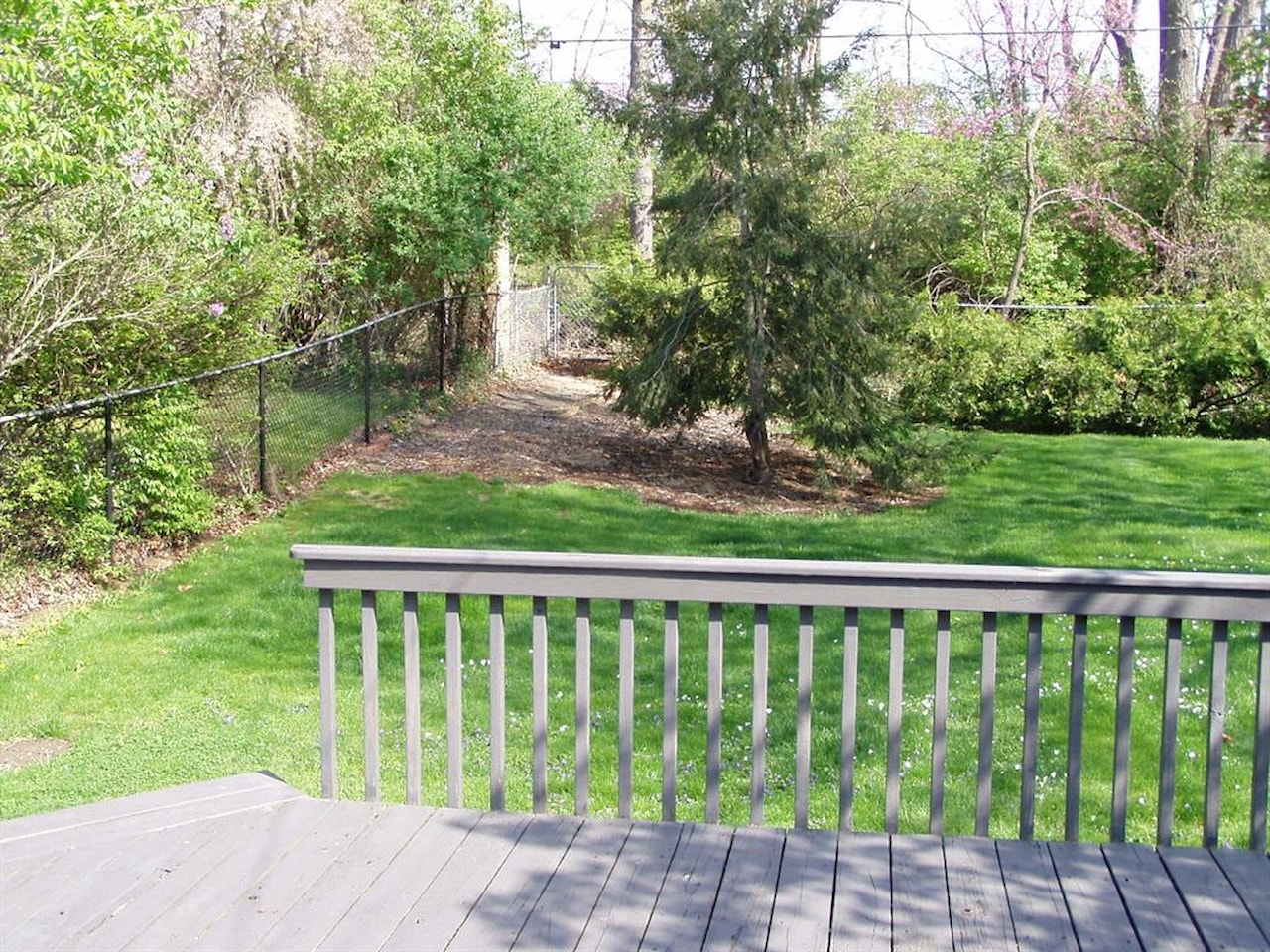 2010 Collegewood St in Ypsilanti, MI Photo 15
