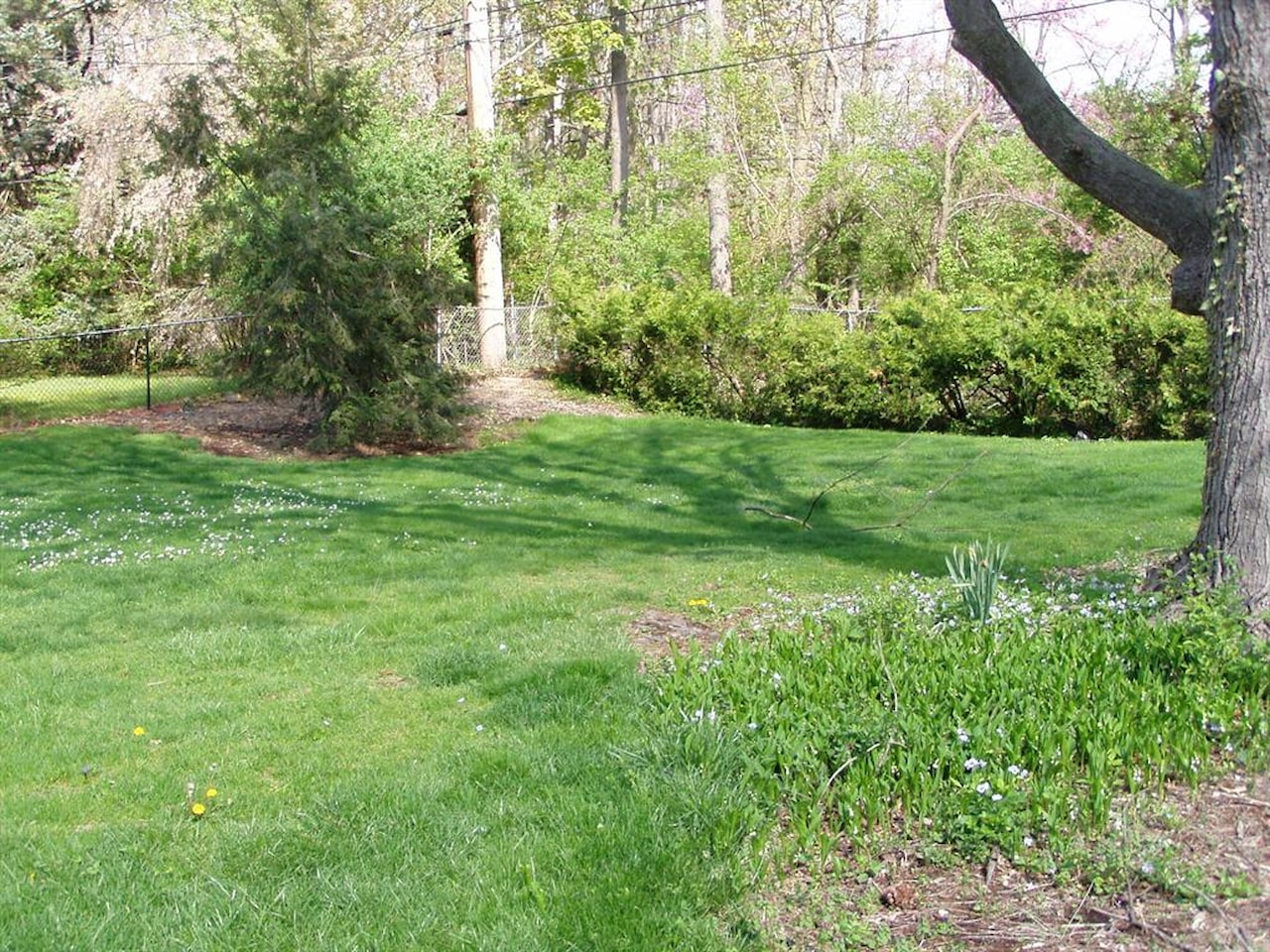 2010 Collegewood St in Ypsilanti, MI Photo 18