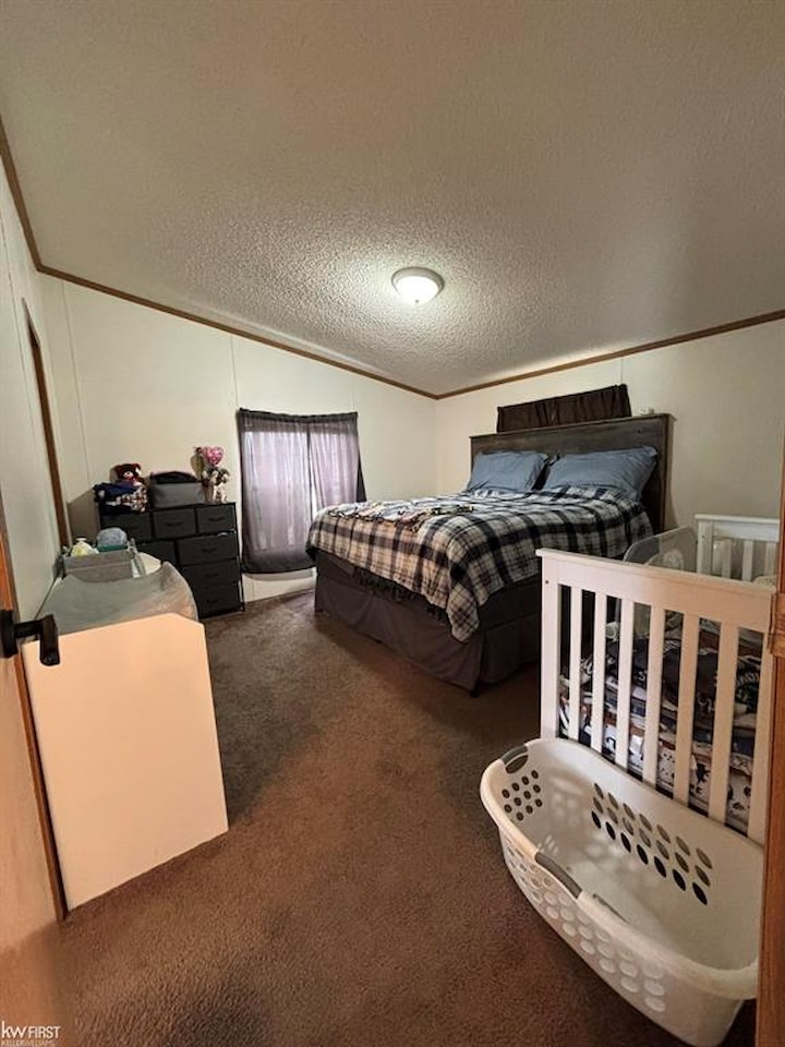 384 River Birch Dr in Genesee Twp, MI Photo 12