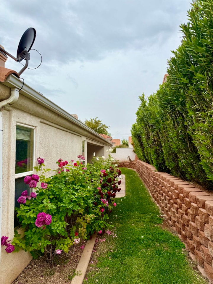 39 N Valley View DR #71 St George, UT 84770 home for sale, MLS#25-260988 - Erika Rogers Photo 27