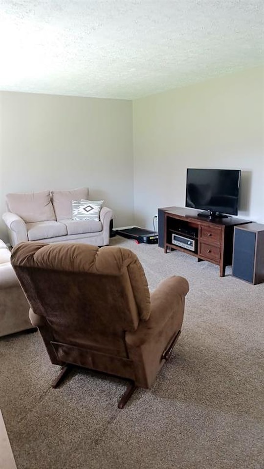 11484 Wood Rd in Dewitt, MI Photo 19