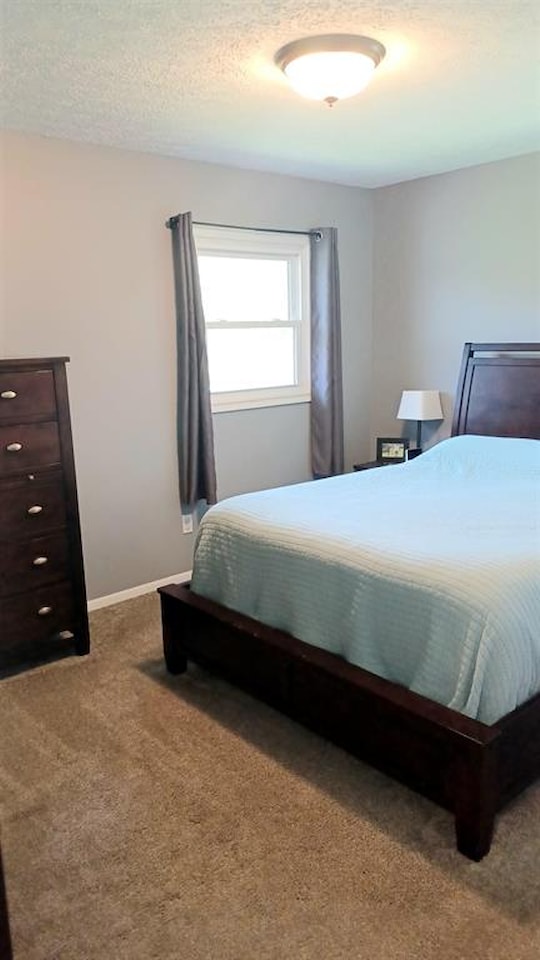 11484 Wood Rd in Dewitt, MI Photo 22