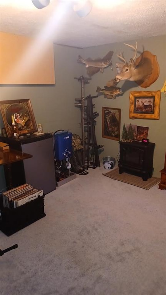 11484 Wood Rd in Dewitt, MI Photo 33