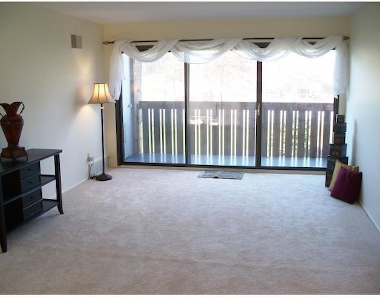 1215 S Maple Rd #203 in Ann Arbor, MI Photo 13