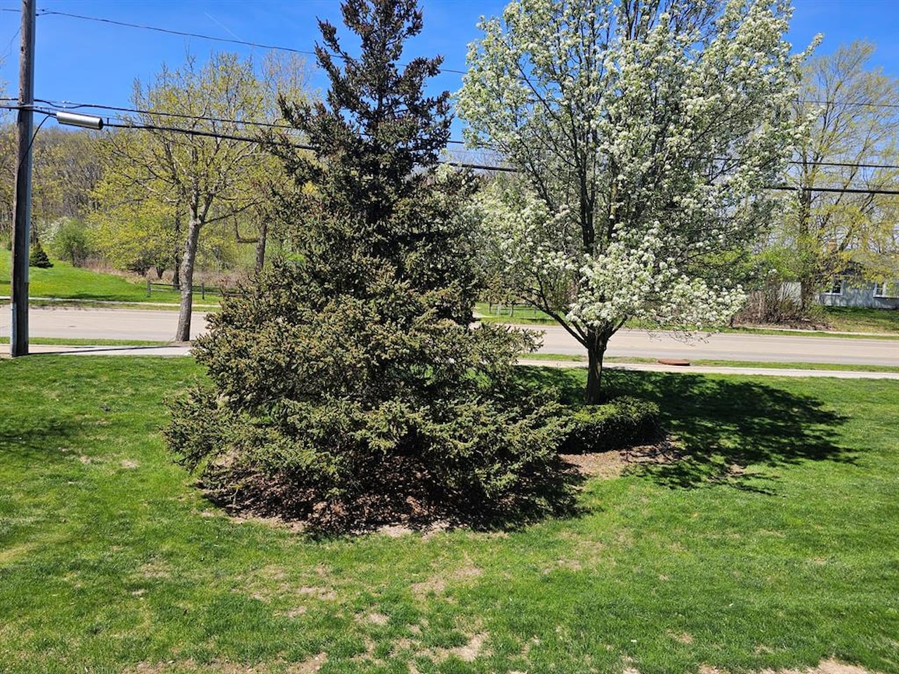 1215 S Maple Rd #203 in Ann Arbor, MI Photo 17