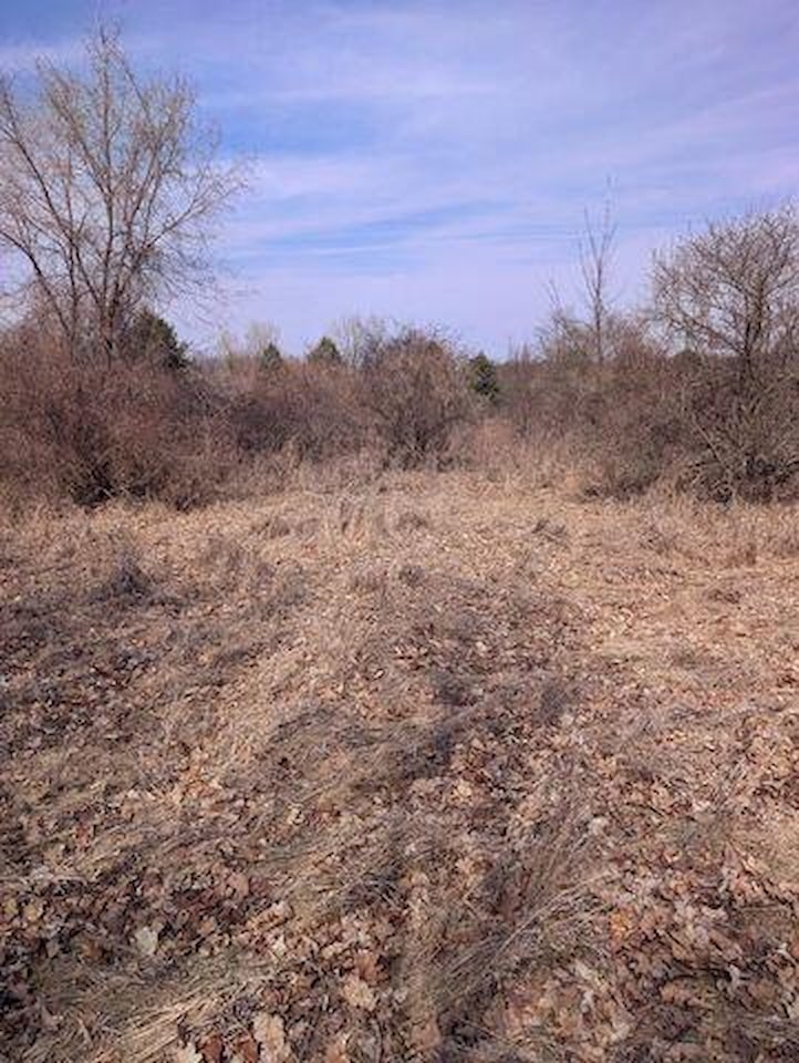 6681 6 Mile Road in Salem Twp, MI Photo 4