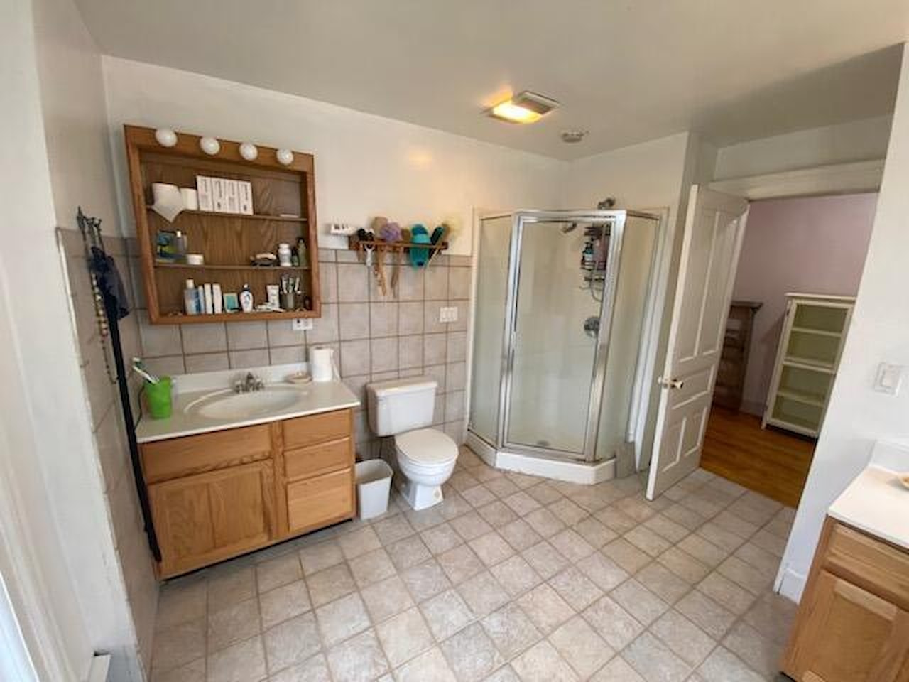 227 Railroad St in Chelsea, MI Photo 20