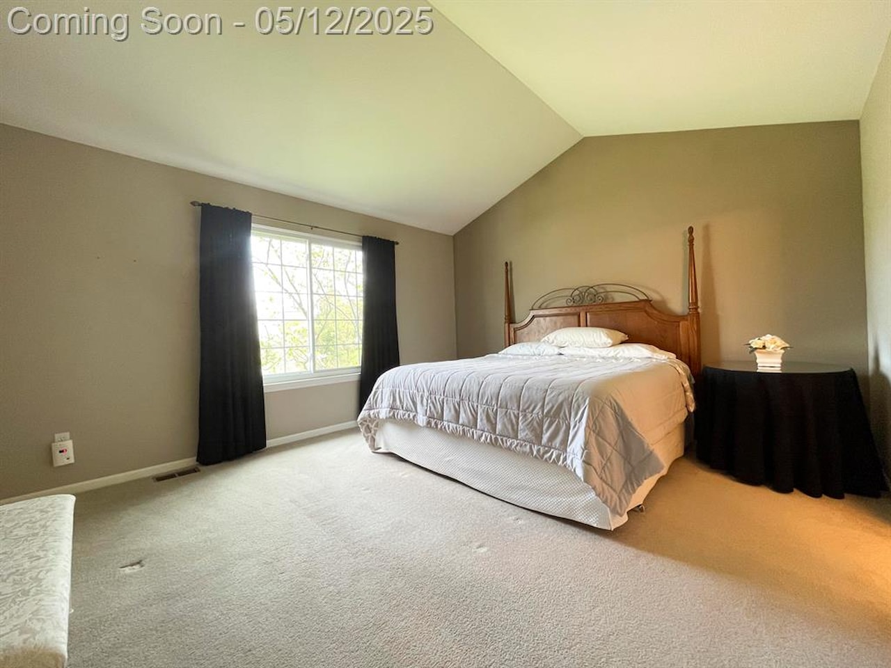 161 Burwyck Park Dr in Saline, MI Photo 14