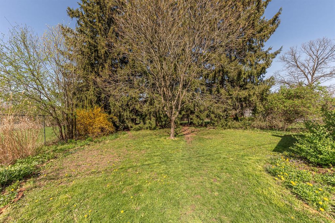 412 Wilkinson St in Chelsea, MI Photo 42