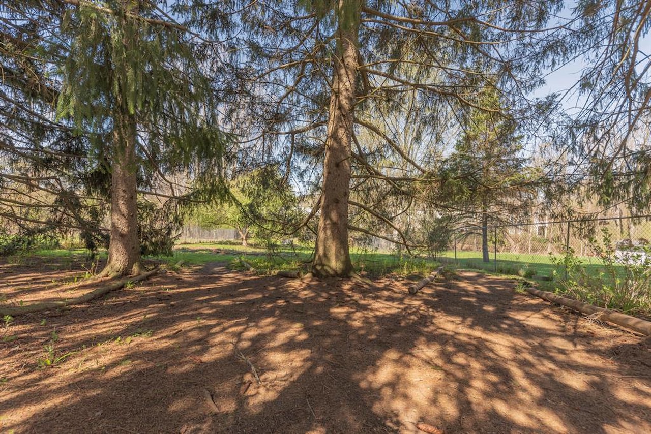 412 Wilkinson St in Chelsea, MI Photo 43