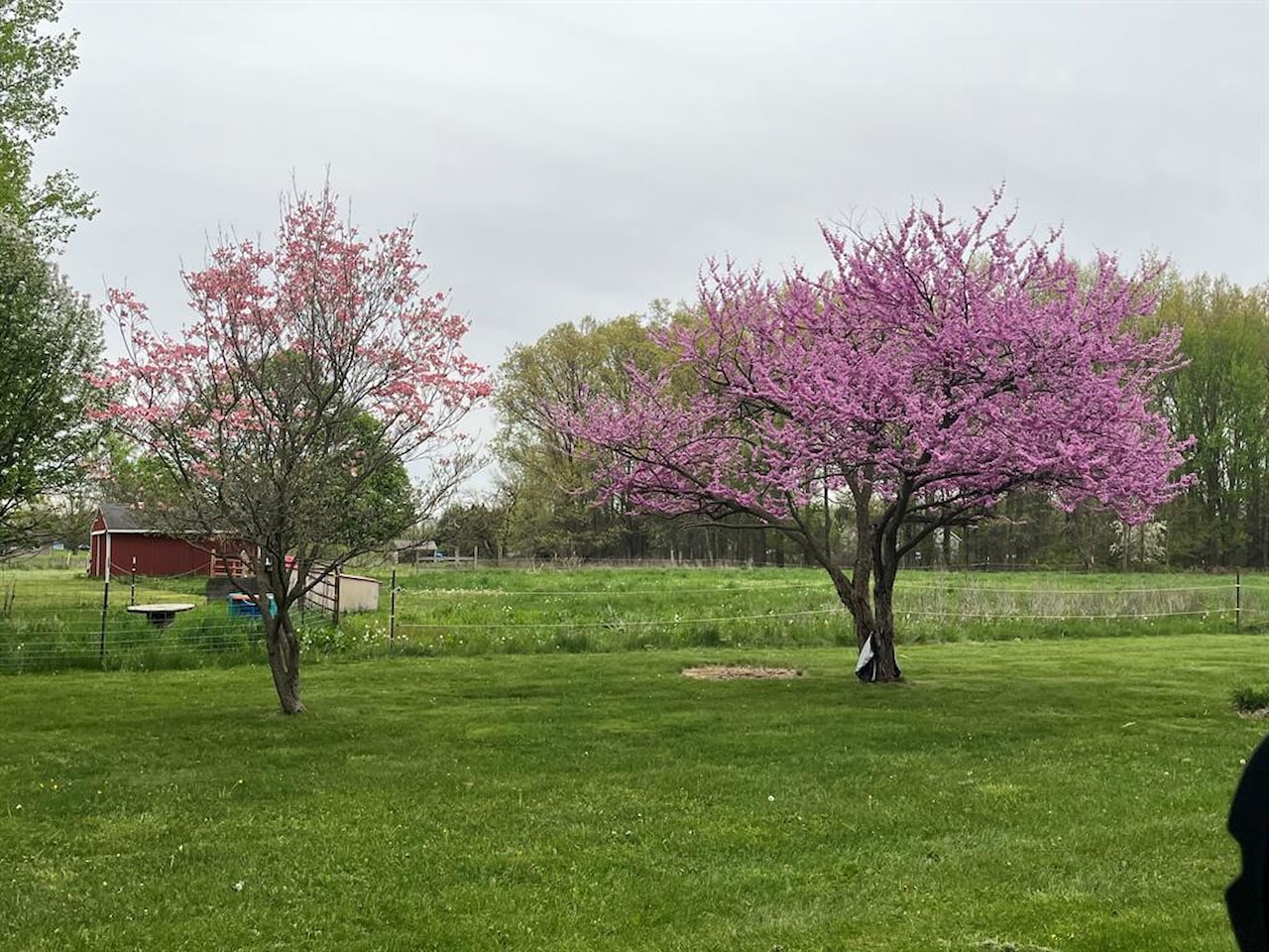 7532 E E W Ave in Brady Twp, MI Photo 4