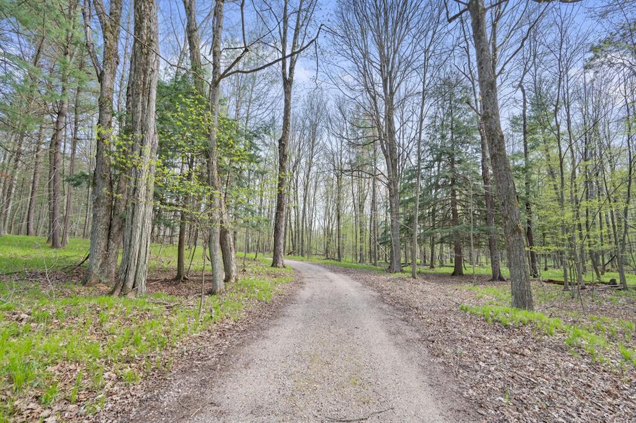 19251 Indian Dr in Green Twp, MI Photo 8