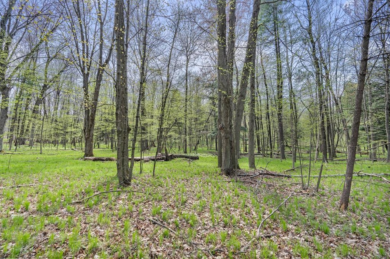 19251 Indian Dr in Green Twp, MI Photo 33