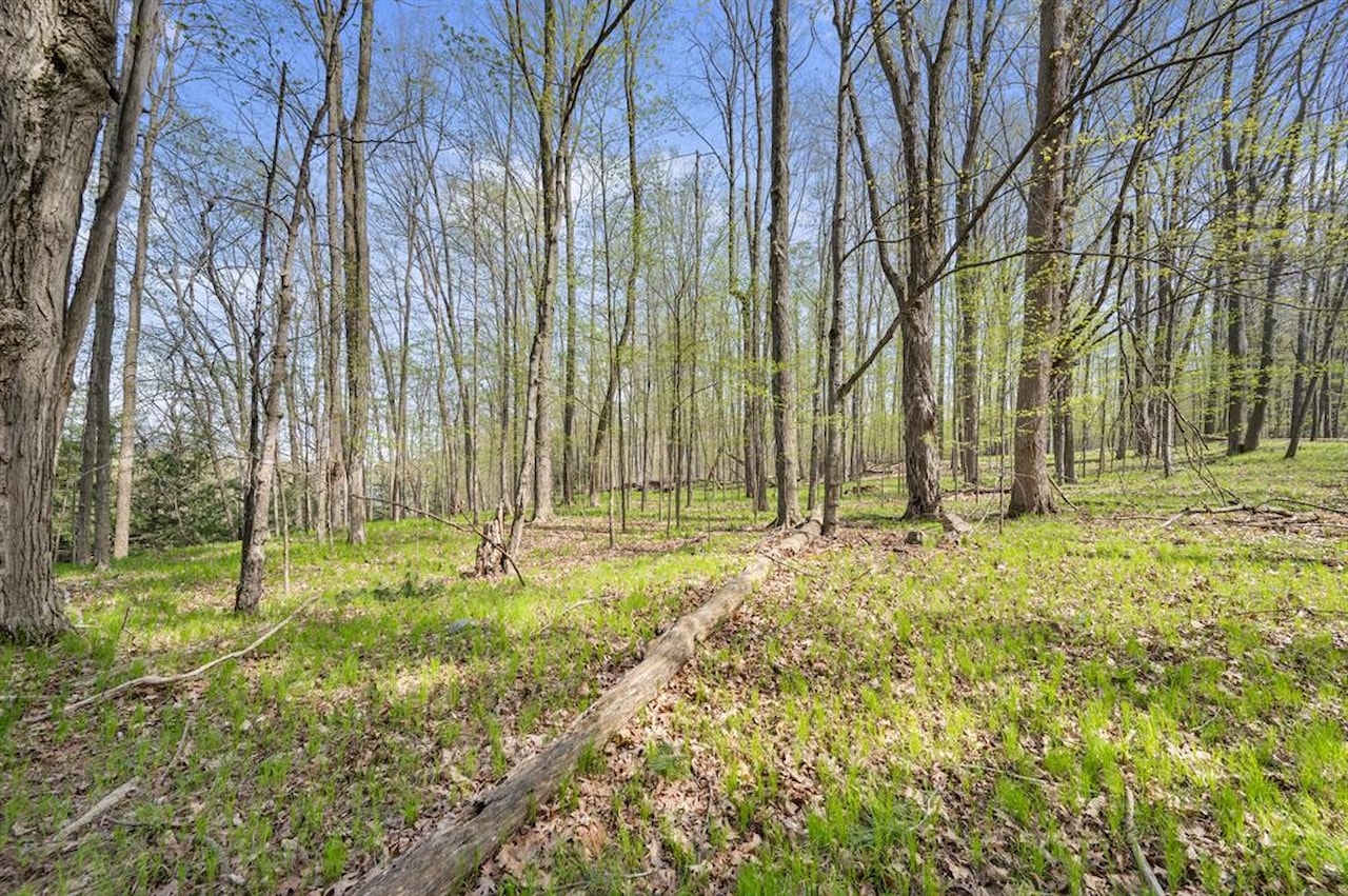 19251 Indian Dr in Green Twp, MI Photo 35