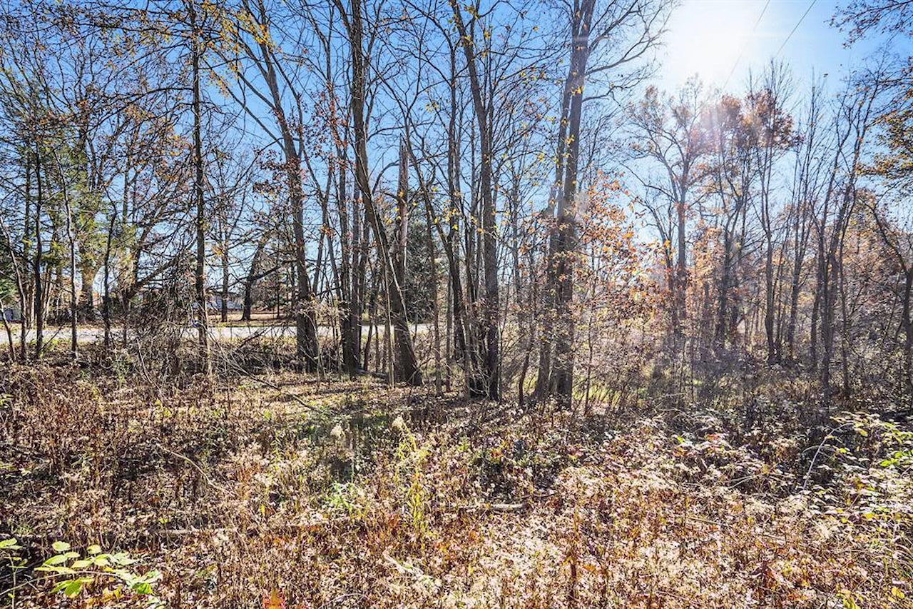 V/L Cedar Lake in Fredonia Twp, MI Photo 13