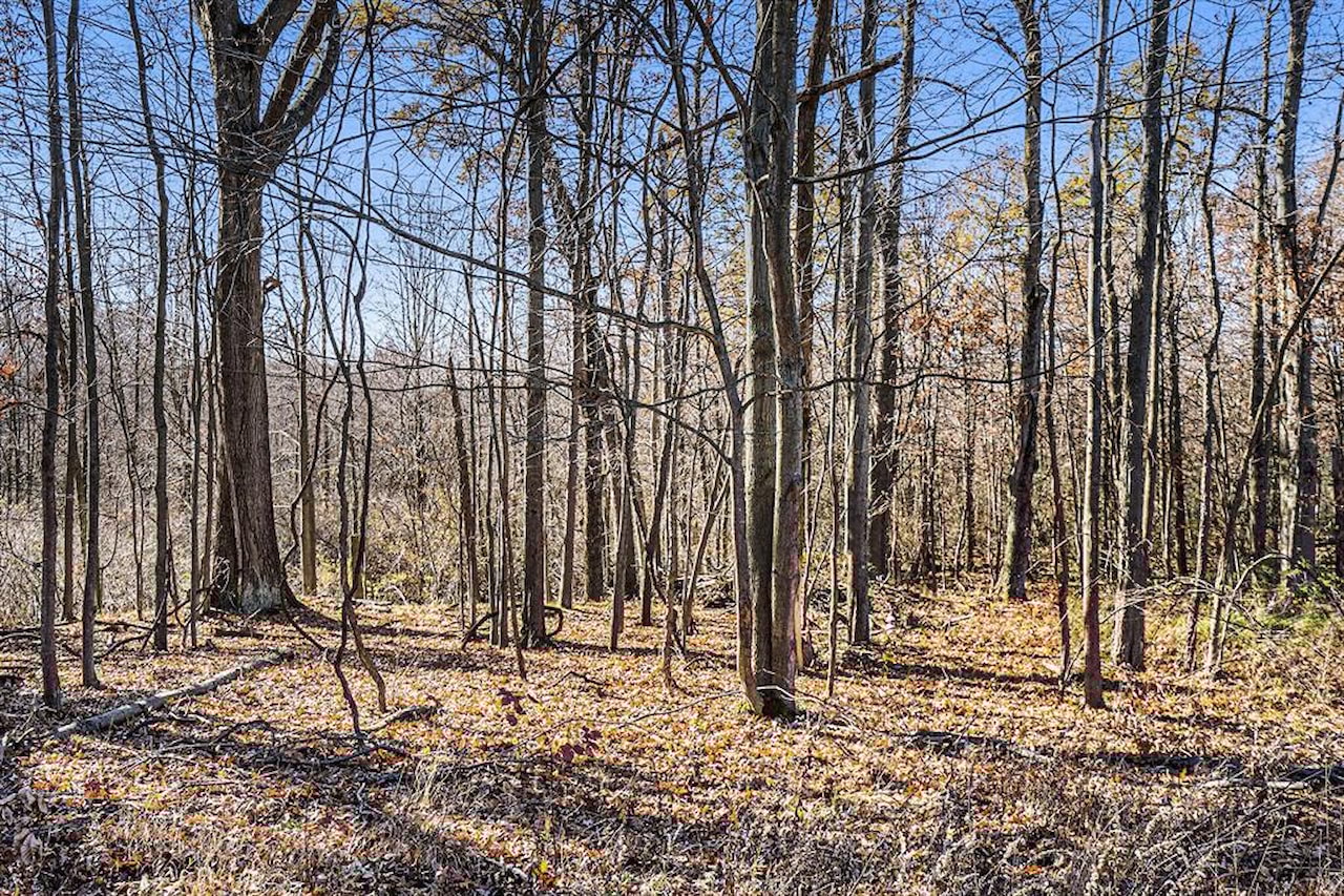 V/L Cedar Lake in Fredonia Twp, MI Photo 16