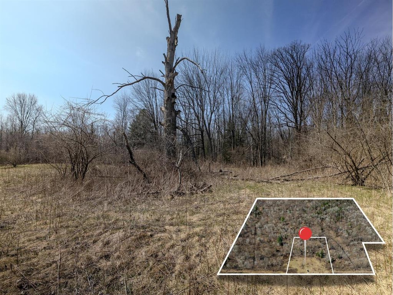 V/L S Wieman Rd in Hay Twp, MI Photo 4