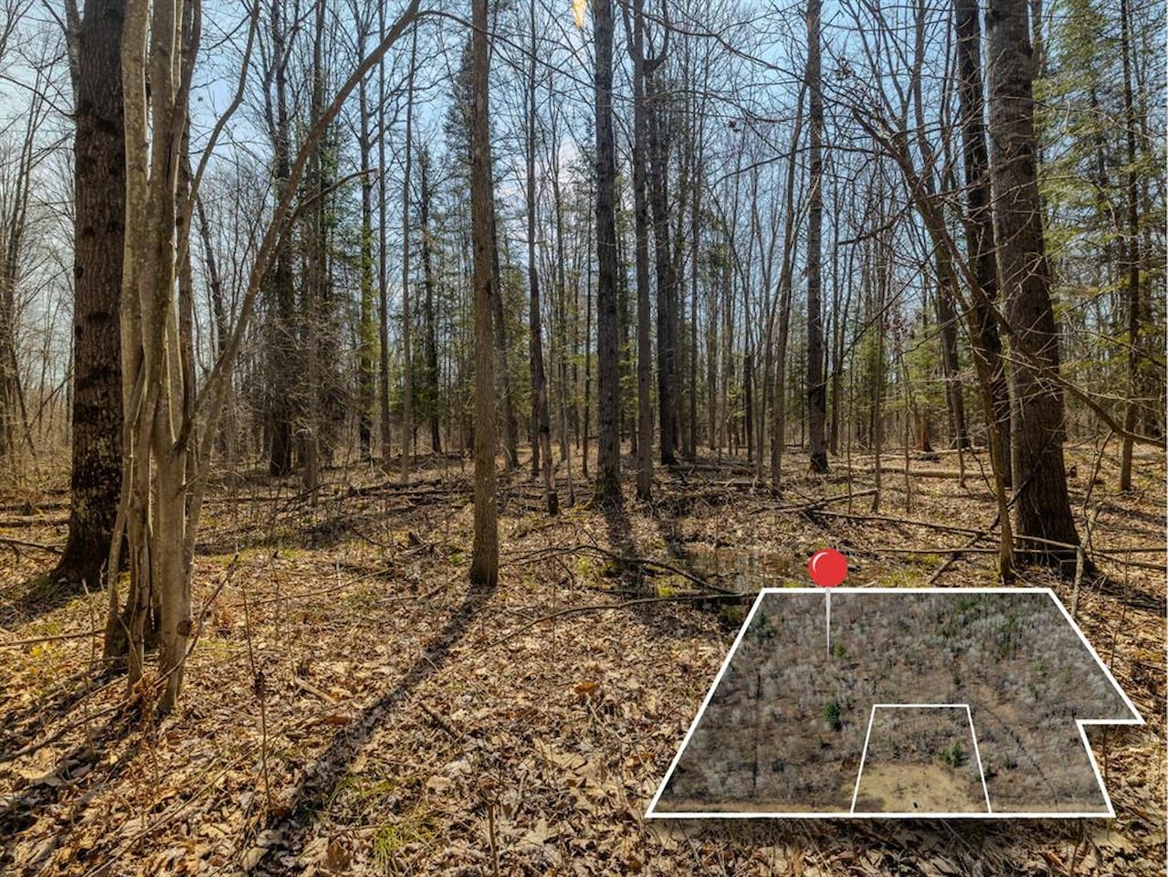 V/L S Wieman Rd in Hay Twp, MI Photo 8