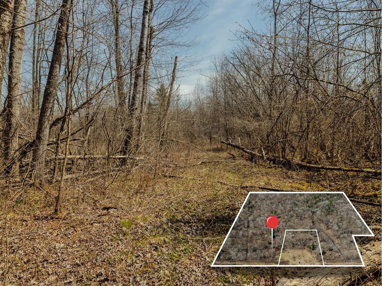 V/L S Wieman Rd in Hay Twp, MI Photo 16