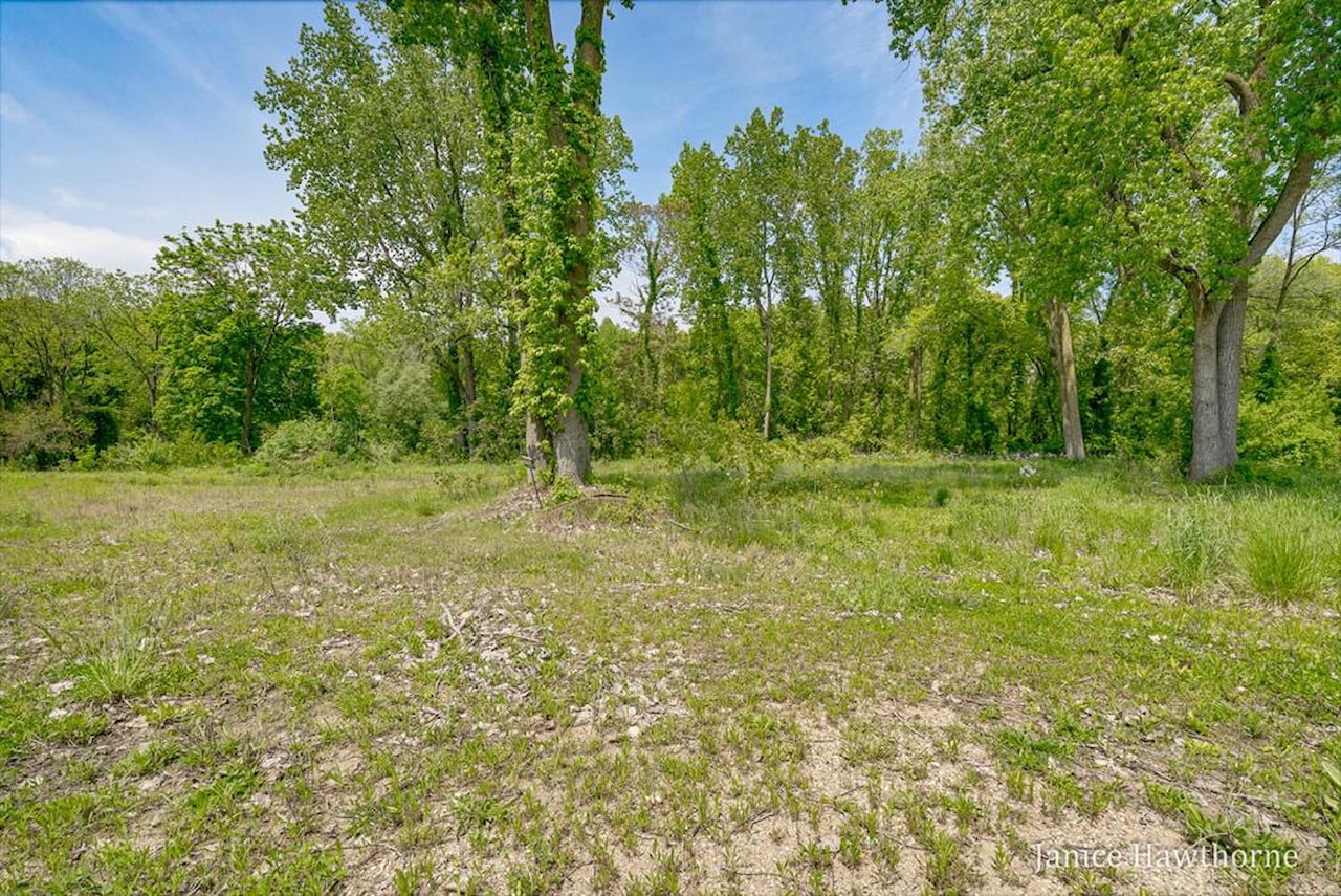 S M43 Hwy in Prairieville Twp, MI Photo 2
