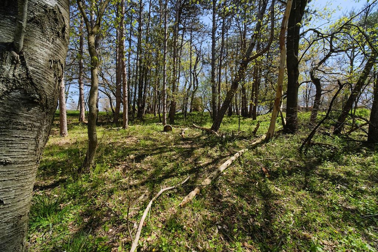 1187 Maple Rd in Filer Twp, MI Photo 54