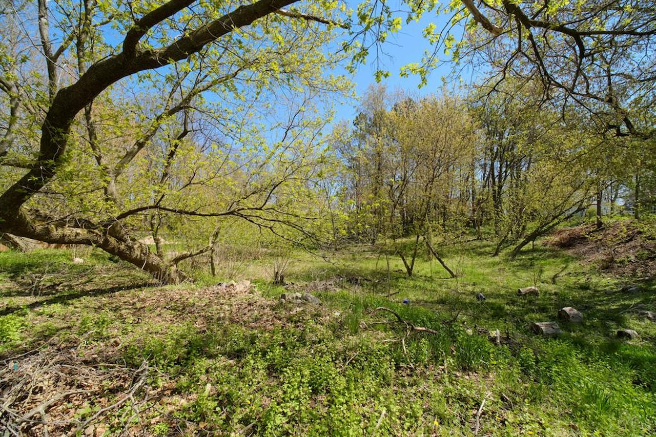 1187 Maple Rd in Filer Twp, MI Photo 56