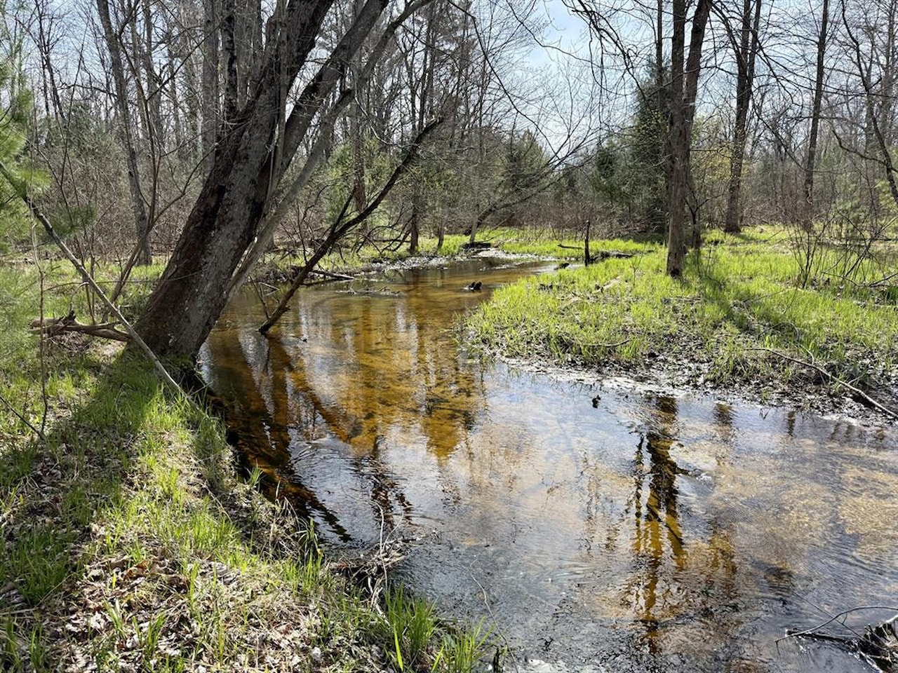 00# N Benson Rd in Branch Twp, MI