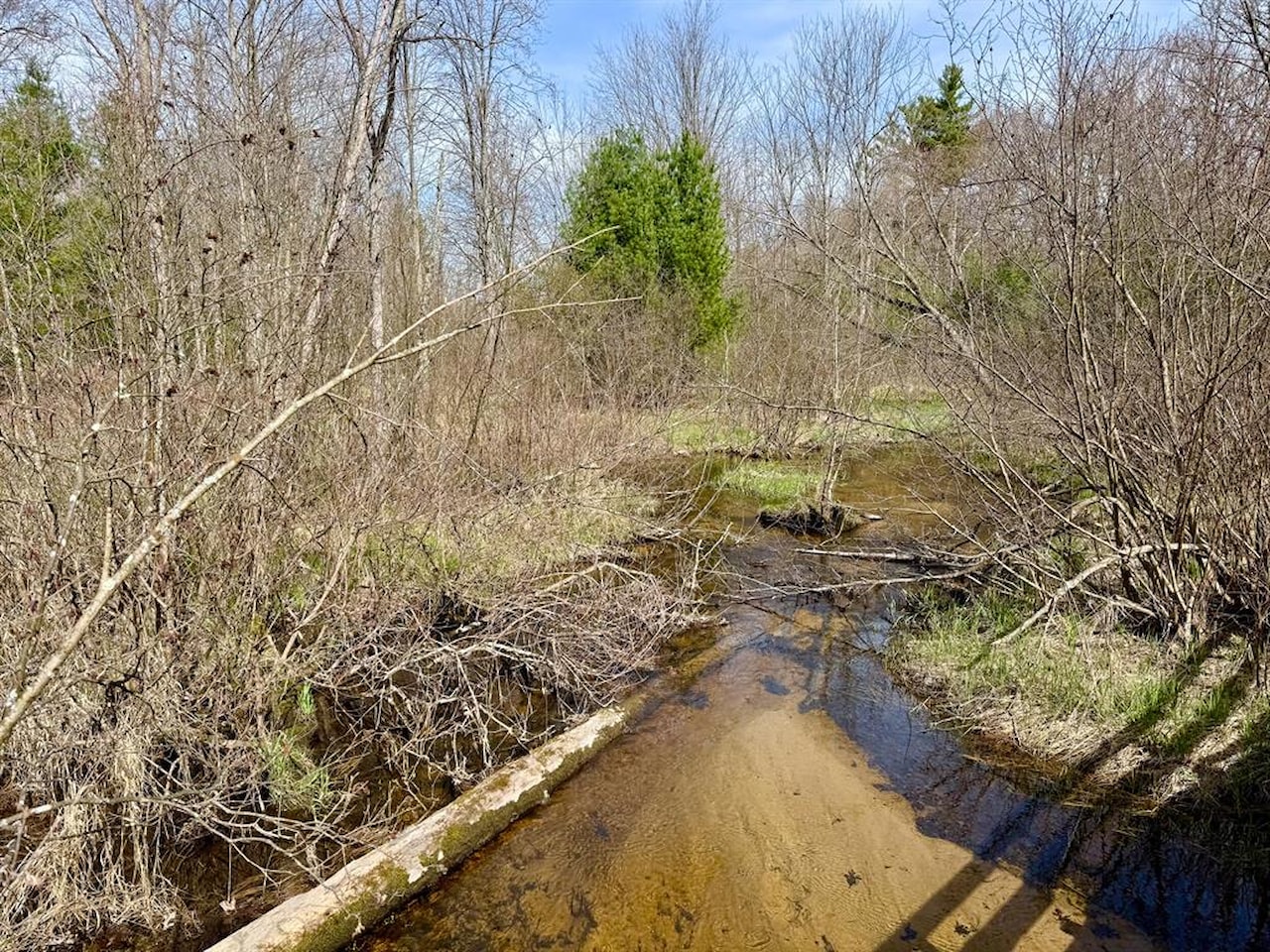00# N Benson Rd in Branch Twp, MI Photo 7